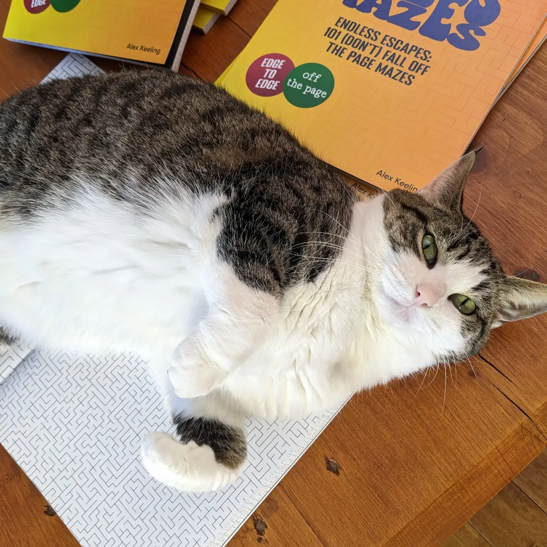 Cat laying on the maze book