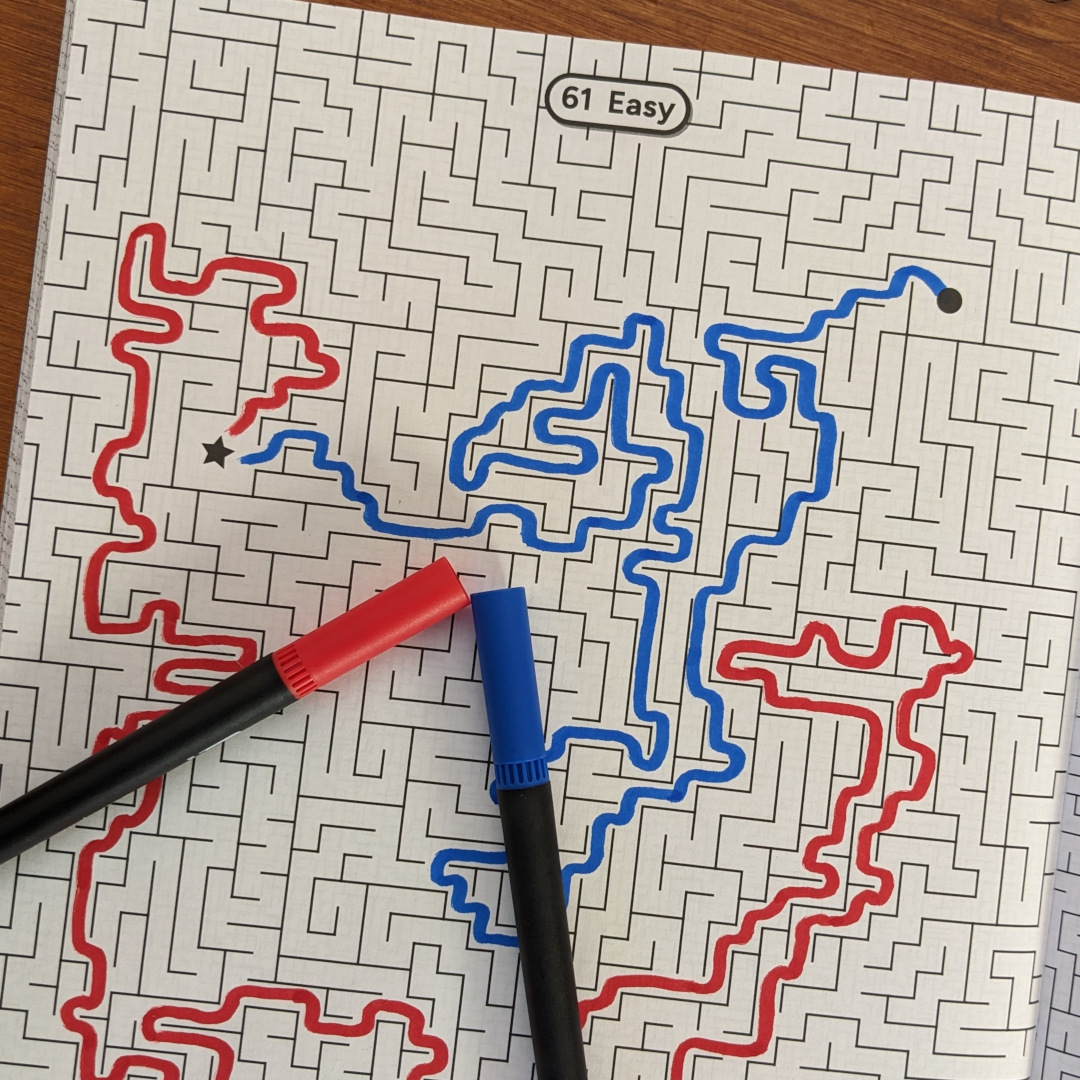 A solved maze in the book